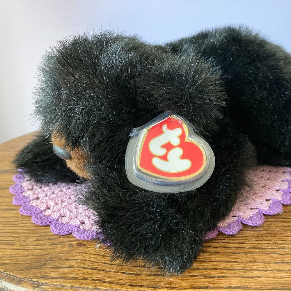 Larger, unnamed TY beanie babies Black Bear 1996, Baby Paws